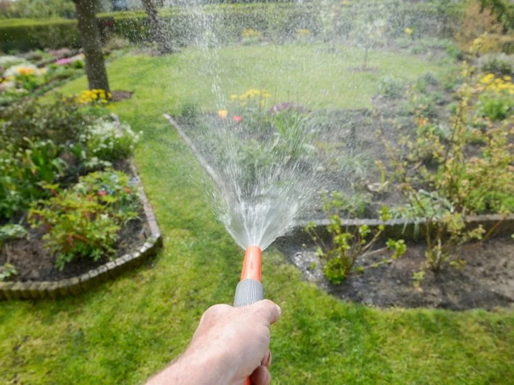 Mai-Gartenarbeit - Pflanzen regelmäßig bewässern