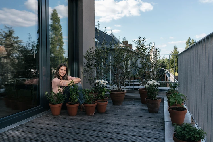 mehrere-balkonpflanzen-fuer-schatten-auf-nicht-ueberdachten-balkons-oder-terrassen-anbauen