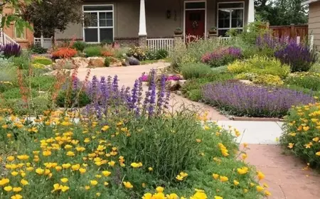 Pflanzen für Trockenheit in den Garten pflanzen wegen Hitze