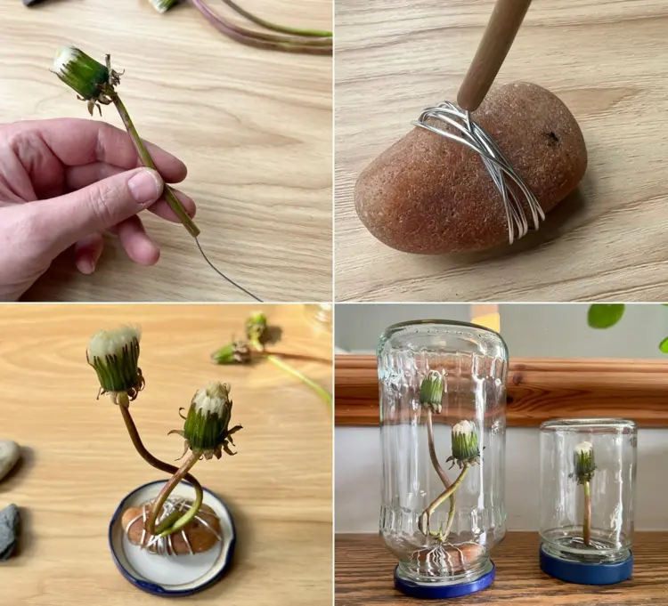 Pusteblume im Glas selber machen - Einfache Anleitung zum Basteln