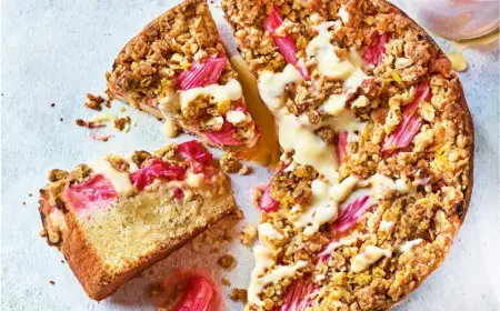 rhabarber schmand kuchen mit streusel schneller frühlingskuchen mit obst
