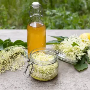 sommerliche cocktails ideen holunderblütensirup rezept