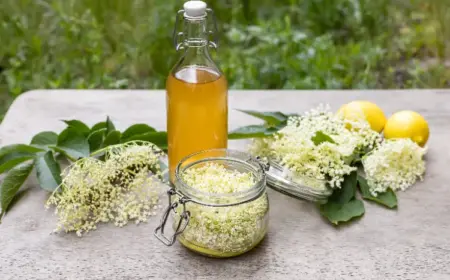 sommerliche cocktails ideen holunderblütensirup rezept
