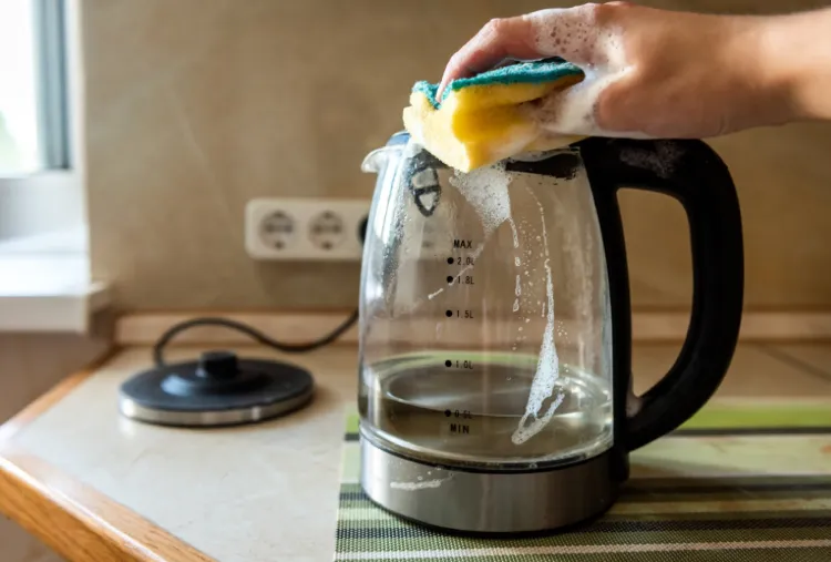 wasserkocher reinigen zitrone kalk entfernen hausmittel
