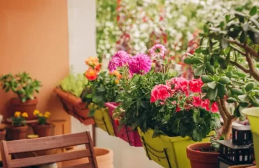 Welche Balkonblumen blühen den ganzen Sommer - Pflegeleichte Ideen für den Blumenkasten