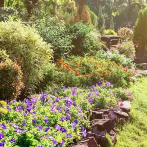 Welche Pflanzen brauchen wenig Wasser - Stauden, Blumen, Sträucher und Bäume