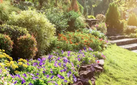 Welche Pflanzen brauchen wenig Wasser - Stauden, Blumen, Sträucher und Bäume