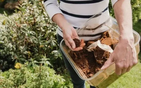 Welches Gemüse mag keinen Kaffeesatz