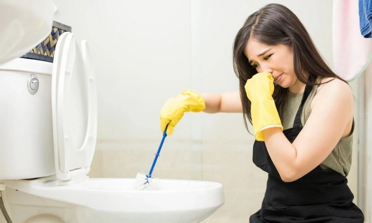Wie können Sie Gerüche im Badezimmer mit Hausmitteln beseitigen