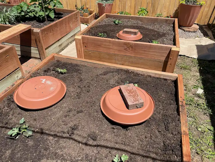 how to build ollas yourself for gardens and potted plants
