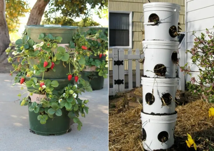 Wo kann man Erdbeeren pflanzen - Blumenturm selber bauen mit Eimern