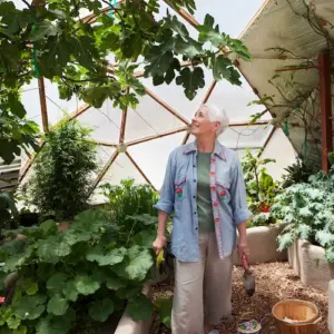 bei sich ändernden klimabedingungen mit durchdachten strategien bei der gartenarbeit reagieren