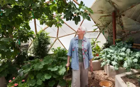 bei sich ändernden klimabedingungen mit durchdachten strategien bei der gartenarbeit reagieren