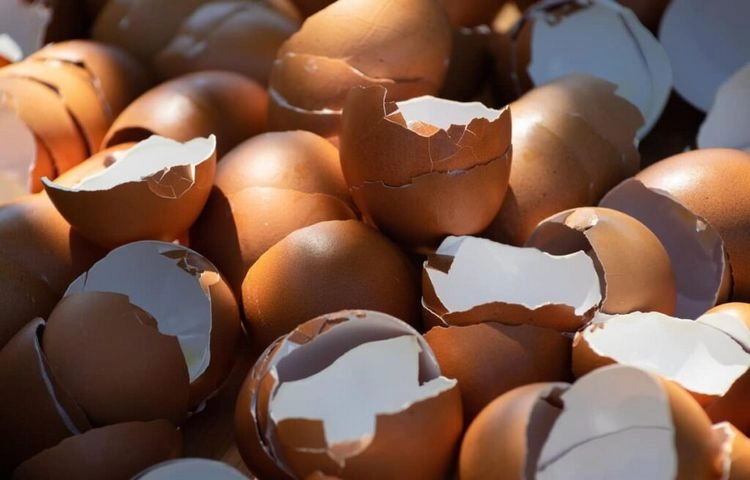 Eierschalen als natürliches Düngemittel für Gemüsegarten