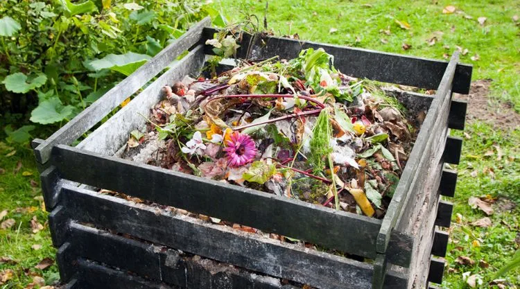 Gibt es eine Möglichkeit zu verhindern, dass der Kompost schlecht riecht?