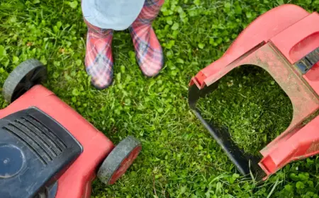 häufige fehler beim rasenmähen vermeiden und nicht den rasen mähen nach regen