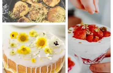 Holunderblüten- Rezepte - Pfannkuchen, Gelee, Torte und Desserts im Glas