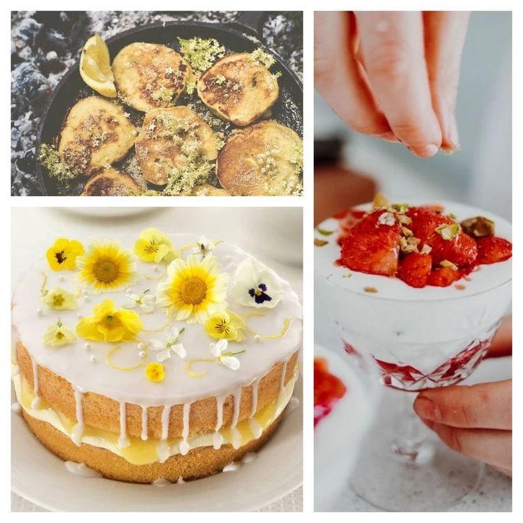 Holunderblüten- Rezepte - Pfannkuchen, Gelee, Torte und Desserts im Glas
