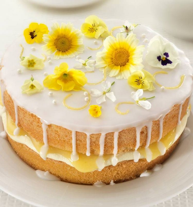 holunderblüten torte zubereiten probieren sie das rezept für eine leckere nachspeise aus