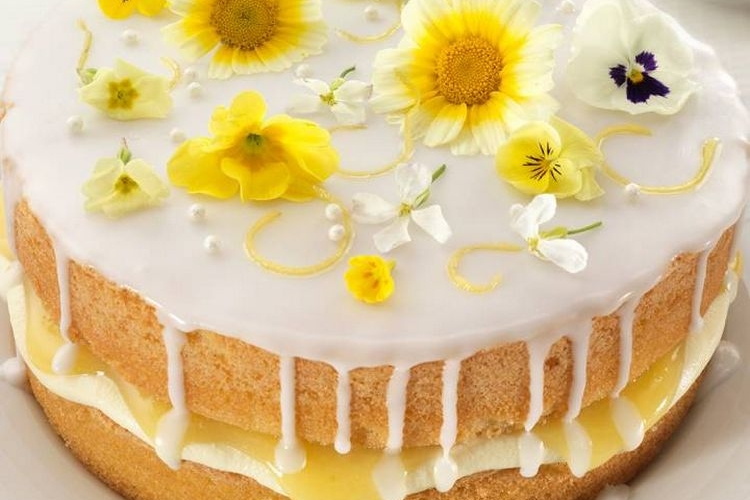 Holunderblüten-Torte zubereiten - probieren Sie das Rezept für eine leckere Nachspeise aus