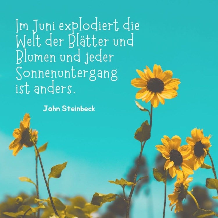 John Steinbeck Zitat für den Juni