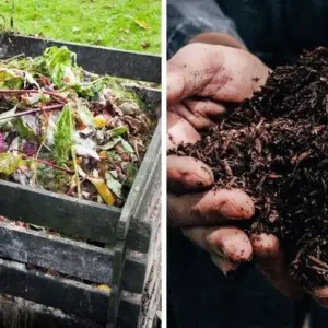 kompost für gemüsegarten