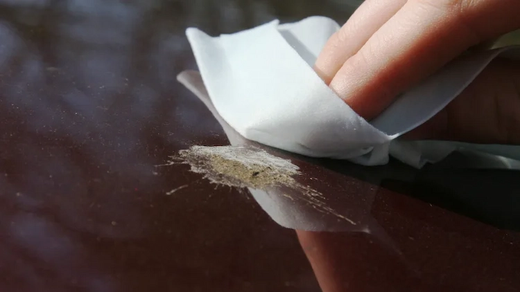 lackschaden verhindern und so schnell wie möglich getrockneten vogelkot vom auto entfernen mit tuch