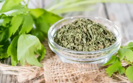 maggikraut trocknen an der luft liebstöckel rezepte