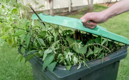 mit schnittgut überfüllte biotonne reinigen und im gartenbereich die gerüche neutralisieren