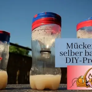 Mückenfalle bauen: Probieren Sie diese DIY-Ideen aus und genießen Sie einen mückenfreien Sommer