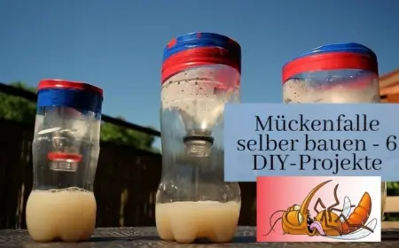 Mückenfalle bauen: Probieren Sie diese DIY-Ideen aus und genießen Sie einen mückenfreien Sommer