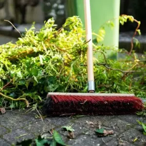 Pflanzen retten nach Unwetter - Schäden beseitigen und Ernte sichern