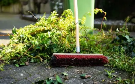 Pflanzen retten nach Unwetter - Schäden beseitigen und Ernte sichern