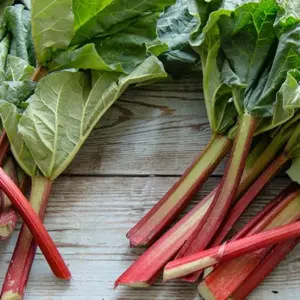 Rhabarberblätter im Garten verwenden - So können Sie sie als Dünger