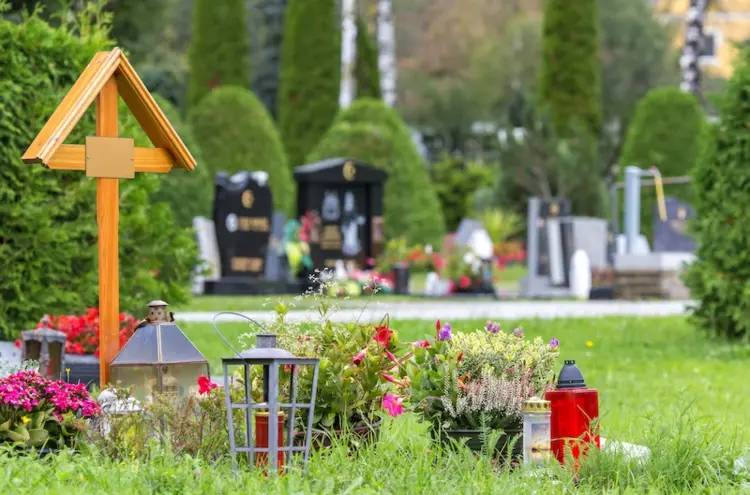 Welche Blumen fürs Grab im Sommer - Ideen für Sonne, Halbschatten und Schatten