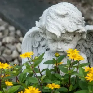 Welche Blumen fürs Grab im Sommer - Pflegeleichte Sommerblumen