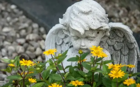 Welche Blumen fürs Grab im Sommer - Pflegeleichte Sommerblumen