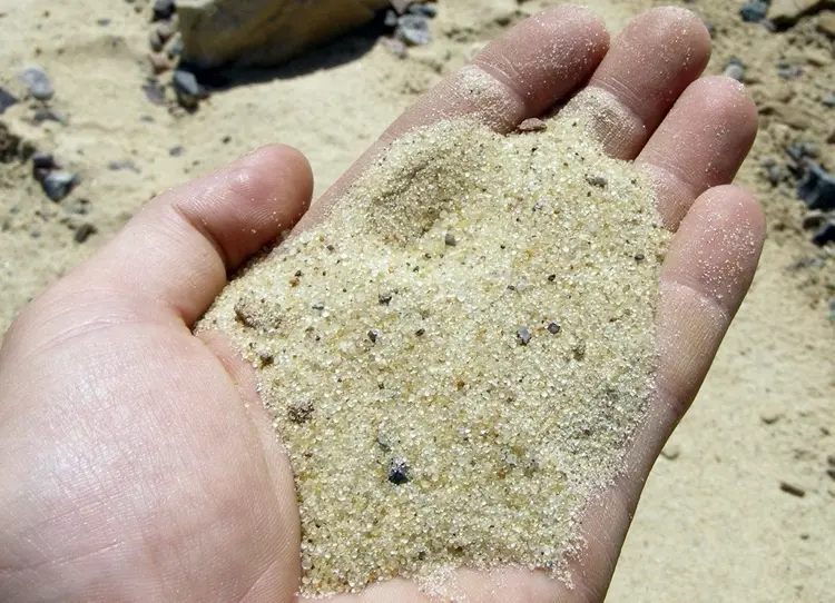 Welcher Sand gegen Trauermücken anwenden