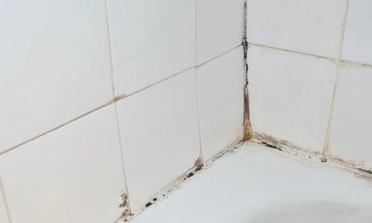 How to remove stubborn stains in the shower - baking soda and hydrogen peroxide