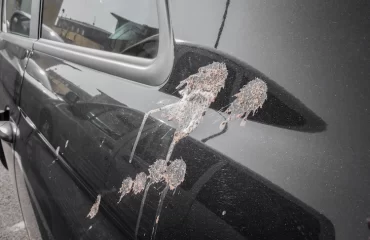 wie nach einfachen reinigungsmethoden vogelkot vom auto entfernen kann