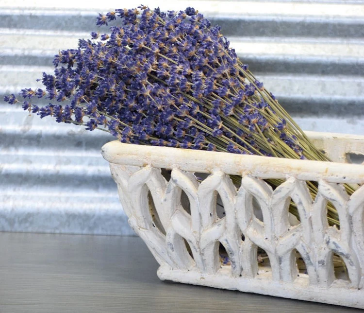 Wie Sie getrocknete Lavendelblüten und -stängel lagern können