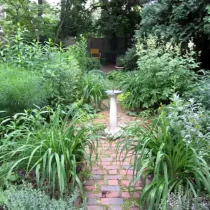 wuchernde pflanzen im garten eindämmen mit diesen natürlichen methoden und maßnahmen