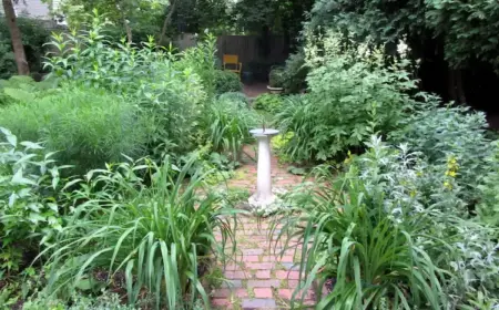 wuchernde pflanzen im garten eindämmen mit diesen natürlichen methoden und maßnahmen