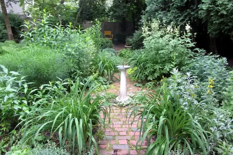 wuchernde pflanzen im garten eindämmen mit diesen natürlichen methoden und maßnahmen