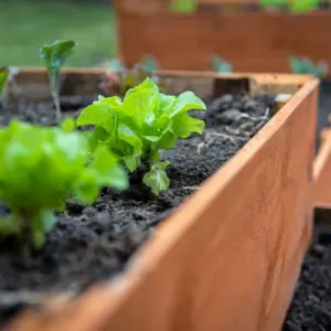 zuverlässige baumaterialien wählen und hochbeete selber bauen