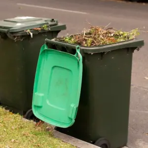 abfälle in grüntonnen und was darf nicht in die biotonne als gartenabfall