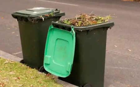 abfälle in grüntonnen und was darf nicht in die biotonne als gartenabfall