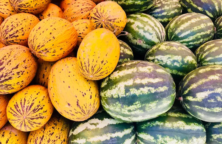 auf dem markt nebeneinander platzierte wassermelonen und melonen als gesunde sommerfrüchte