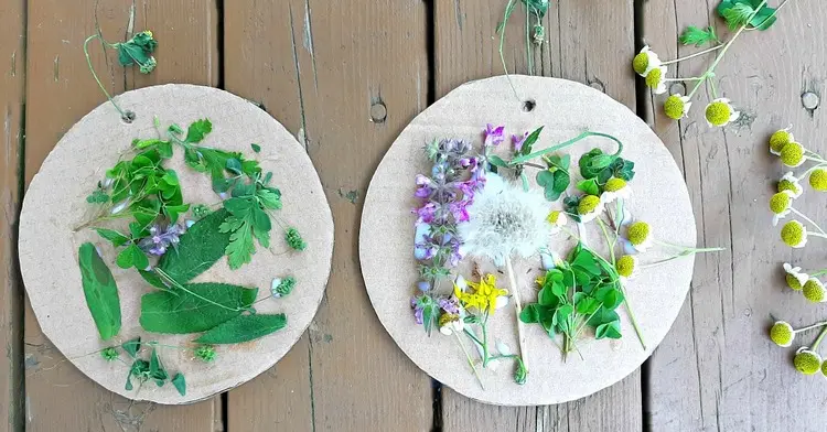 Basteln mit Kindern im Sommer mit Naturmaterialien - Blumen auf Pappe