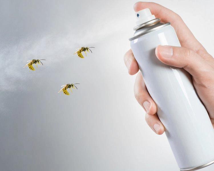 Bekämpfen Sie Wespen nicht mit Haarspray